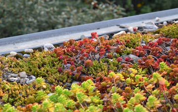 the cost of Shuttlesfield green roof installation